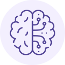 brain